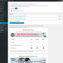 Page screenshot: Video Settings &rarr; Support