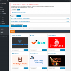 Page screenshot: Video Settings &rarr; Plugins