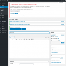 Page screenshot: Videos &rarr; Add New