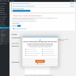 Page screenshot: Video Settings &rarr; YouTube API