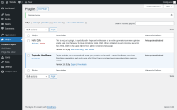 Page screenshot: Plugins ‹ Test site — WordPress