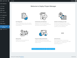 Page screenshot: Zephyr Project Manager
