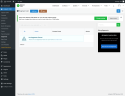 Page screenshot: Jetpack CRM  &rarr; Segments