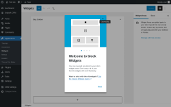 Page screenshot: Widgets &lsaquo; Test site &mdash; WordPress