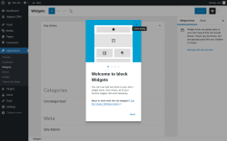 Page screenshot: Widgets &lsaquo; Test site &mdash; WordPress
