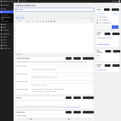 Page screenshot: Portfolio Posts &rarr; Add New Portfolio Post