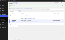 Page screenshot: Plugins &lsaquo; Test site &mdash; WordPress