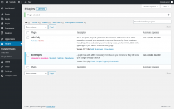 Page screenshot: Plugins ‹ Test site — WordPress
