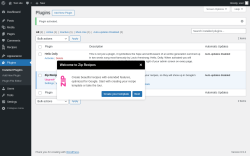 Page screenshot: Plugins ‹ Test site — WordPress