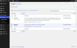 Page screenshot: Plugins &lsaquo; Test site &mdash; WordPress