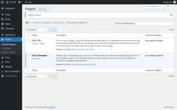 Page screenshot: Plugins &lsaquo; Test site &mdash; WordPress
