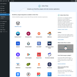 Page screenshot: Zoho Flow