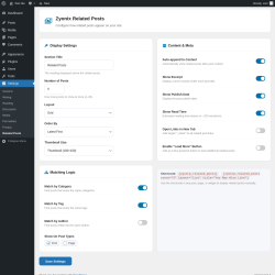 Page screenshot: Settings &rarr; Related Posts